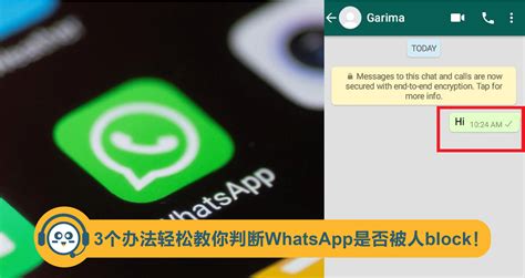 雙灰剔意思|【WhatsApp 封鎖】Block 人、解除封鎖教學｜如何知 